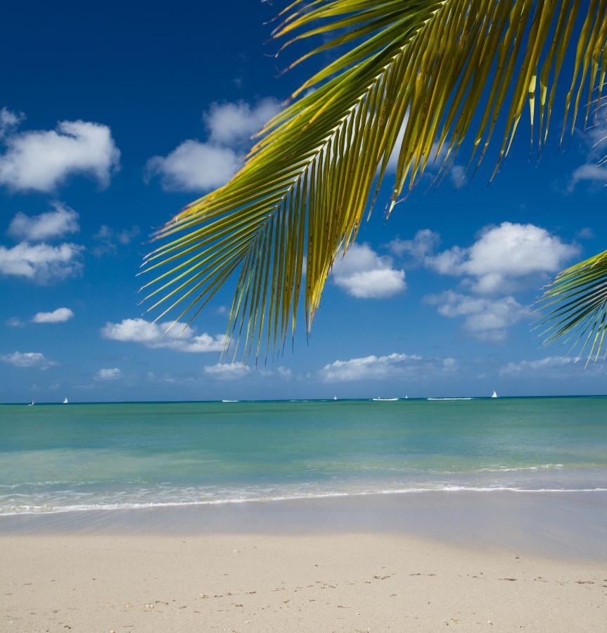 Calabash Cove Resort And Spa - Adults Only Gros Islet Exteriör bild